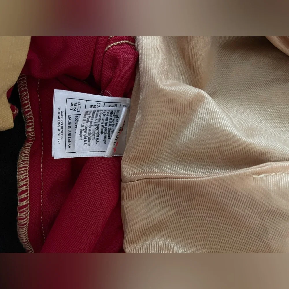 Winnie the Pooh honey Bee costume Disney toddler baby - Picture 6 of 6